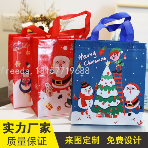 factory direct sales cistmas style one-time molding ssh poets thien non-woven fabric portable universal paing woven bag