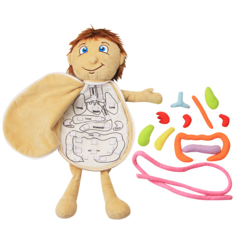 Children‘s Cloth Body Structure Puzzle Doll Boys and Girls Human Organ Structure Cognition Early Education Science and Education Toys 