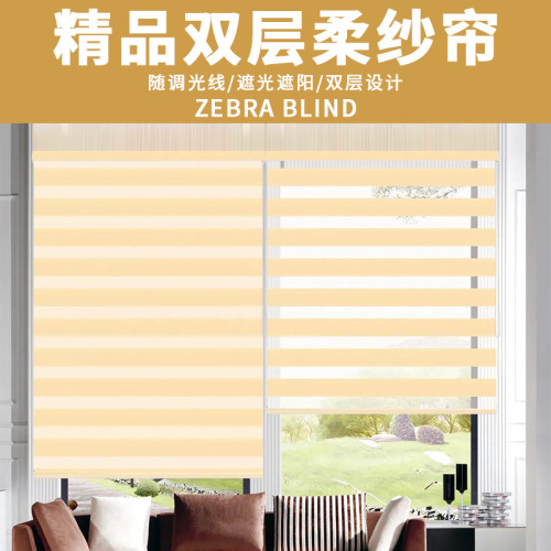 Monochrome Double-Layer Manual Lifting Shading Soft Gauze Curtain Engineering Office Conference Room Home Sunshade Louver Soft Gauze Curtain