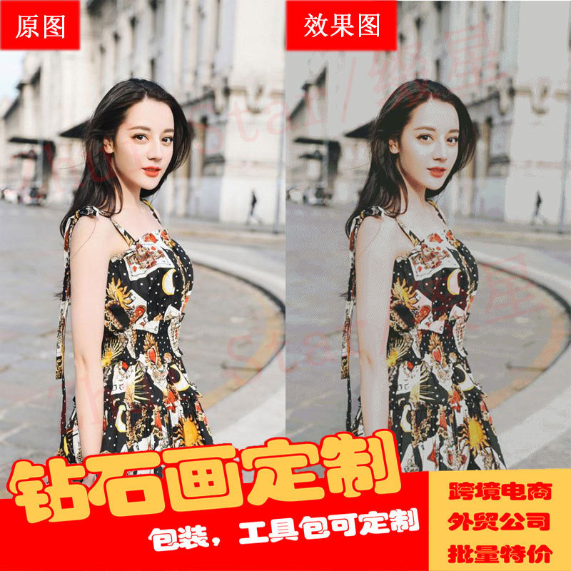 5D新款钻石画定制DIY满钻 卡通动物 人物结婚写真生活照片定做