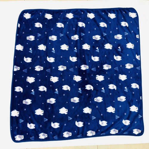 Flannel Blanket Customized Printing Pattern Processing Factory Published and Shipped Quickly