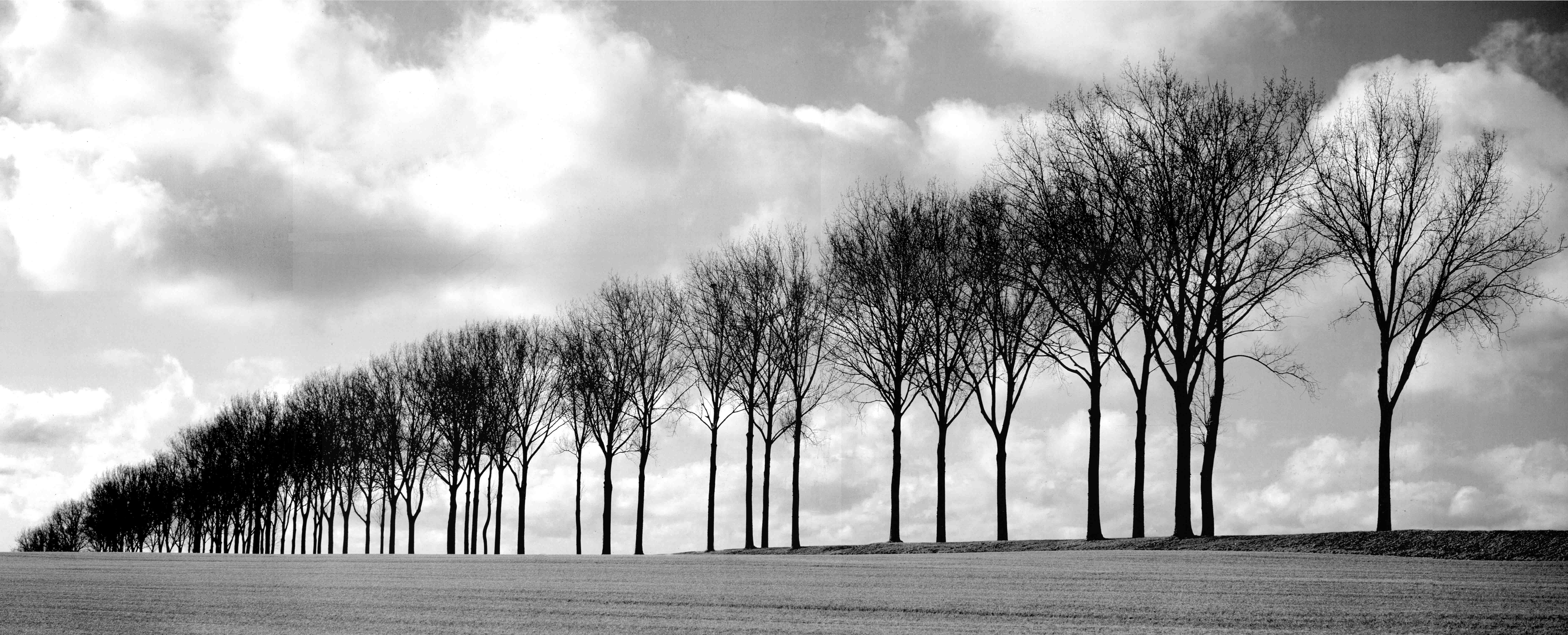 沙发背景风景建筑油画装饰画相框布画壁画客厅床头画餐厅壁画玄关