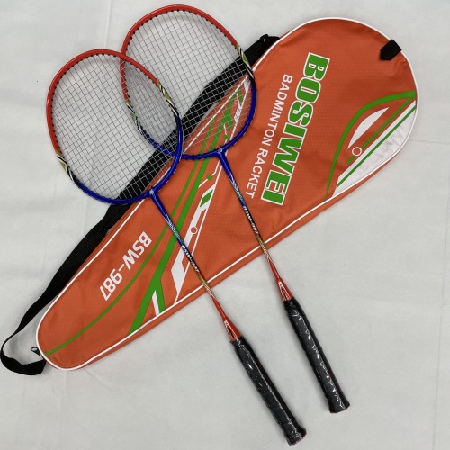 Factory Direct Sales Two-Pack Badminton Racket Family Badminton Racket Beginner Entertainment Practice Racket with Bag
