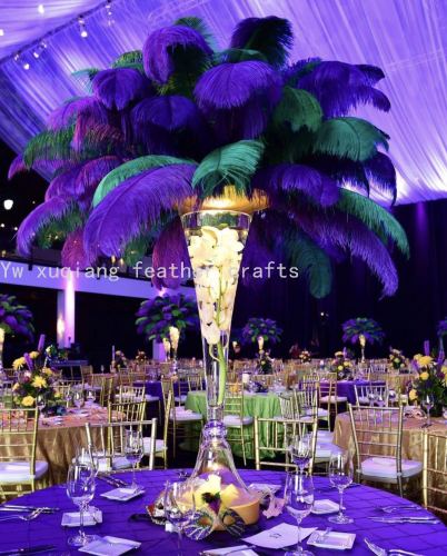 Wedding Celebration Decoration Ostrich Feather 50-55cm South African Ostrich Feather Wedding Feather Clothing Accessories DIY Feather