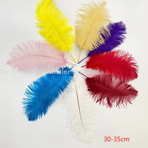 factory direct sales 30-35cm ostrich feather wedding feather clothing accessories diy feather