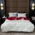 2021 New Warm Two Colors Single Double Autumn and Winter Refined Imitation Duvet
