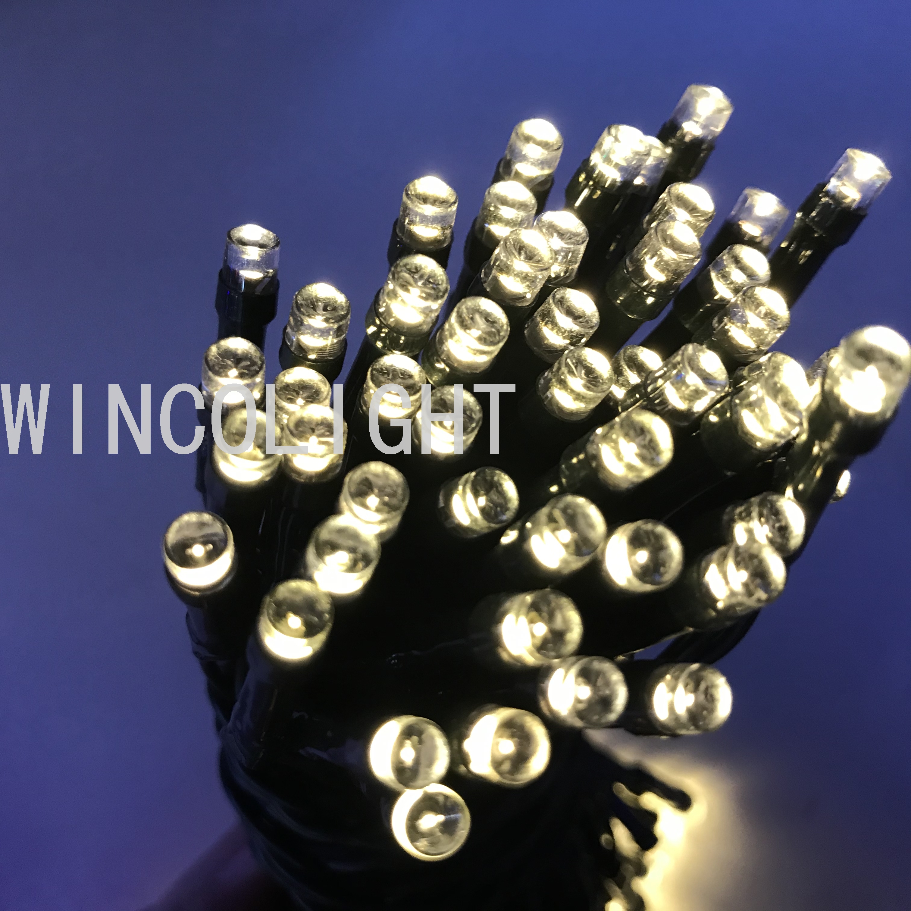 100L LED 绿线太阳能灯