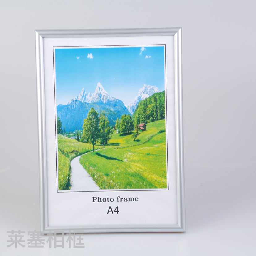 烫银边PVC材质创意摆件照片家居装饰礼物客厅卧室工艺品塑料相框