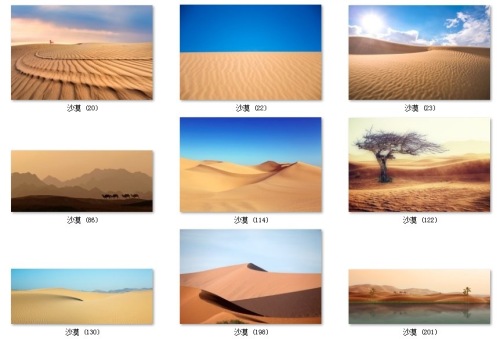 Modern Simple Landscape Photography Silence Desert Camel Nordic Style Living Room Decorative Painting HD Inkjet Printing