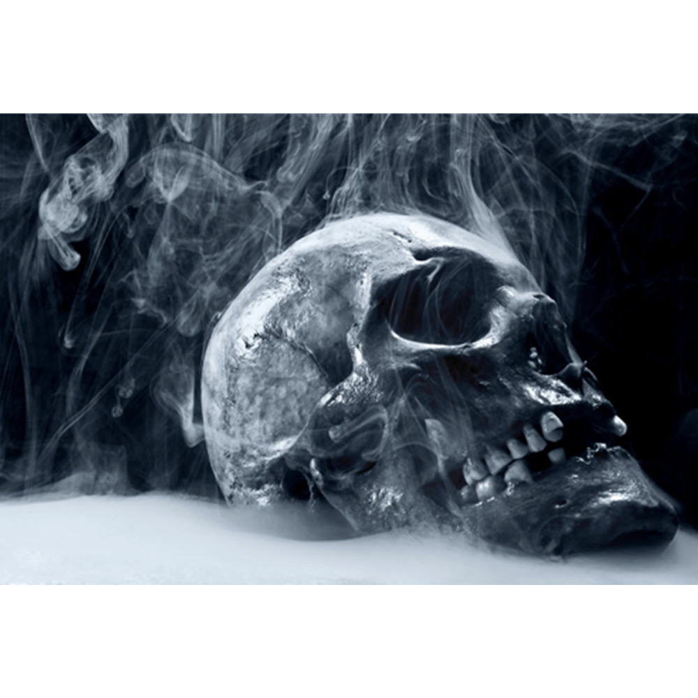 5d满钻石贴画 装饰画工艺品黑白骷髅 外贸跨境新爆款定制一件代发