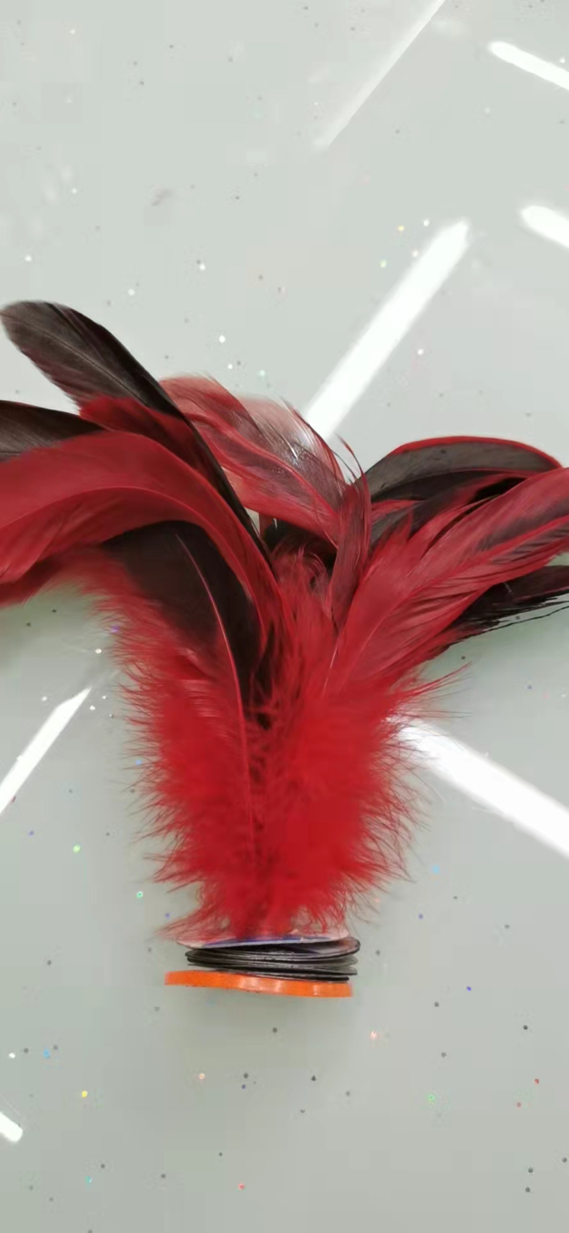 中尾毛绿色第毽子