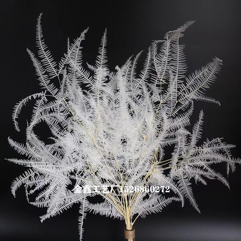 永生芒萁厥叶齿叶干花绿植狼萁芒叶玻璃罩浮游瓶花材客厅家居插花