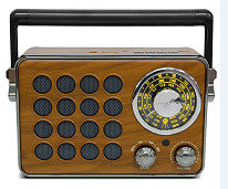 FM/AM/SW Multi-Band Card Radio MK-613