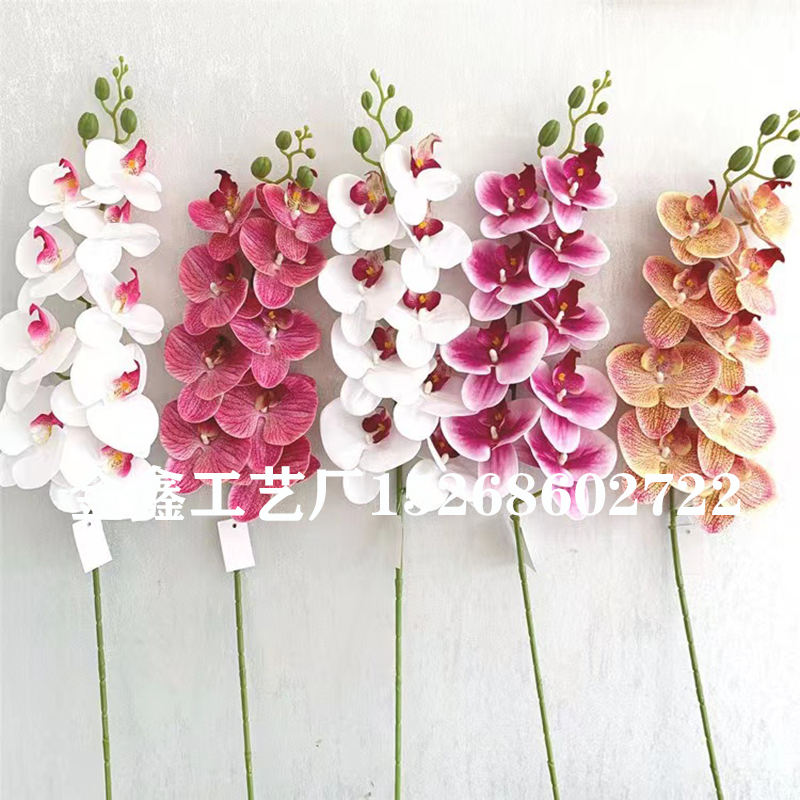 8头手感胶蝴蝶兰仿真花婚庆装饰花插花蝴蝶兰盆栽桌摆拍摄道具