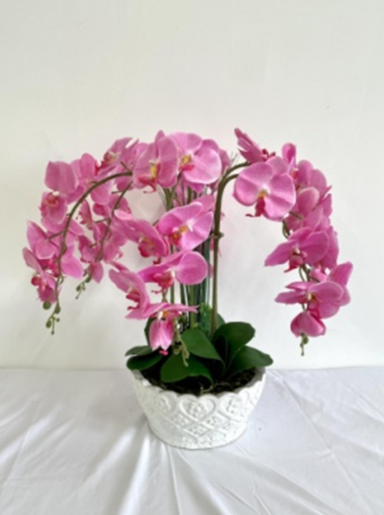 2021新款仿真蝴蝶兰盆景北欧家居装饰摆件假花束绢花手感蝴蝶兰