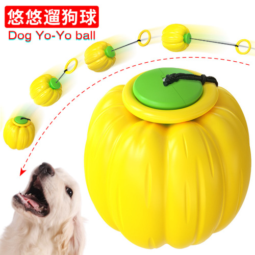 Pet Supplies Factory Wholesale Company new Popular Amazon Dog Molar Training Ball Pumpkin Hand Throwing Toy