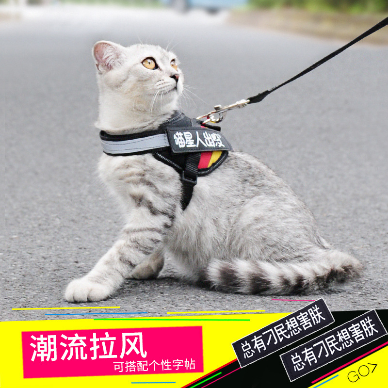 厂家直销亚马逊好销遛猫绳防挣脱猫绳子猫牵引绳背心式猫咪胸背带