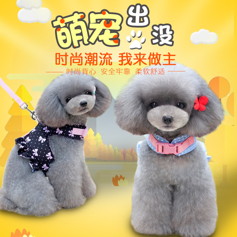 金熊猫宠物胸背套牵引套装 背衣透气时尚套装背心式宠物胸背带
