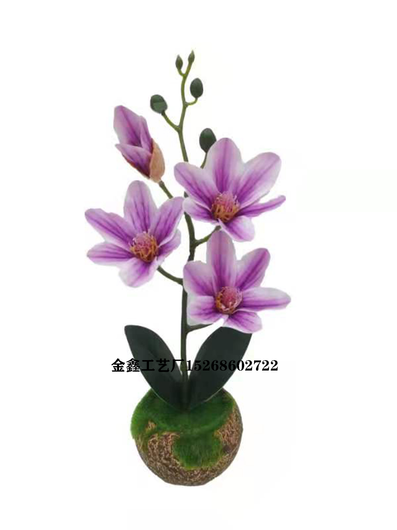 玉兰万代兰盆景仿真花盆栽桌摆玄关摆件居家装饰客厅摆件拍摄道具