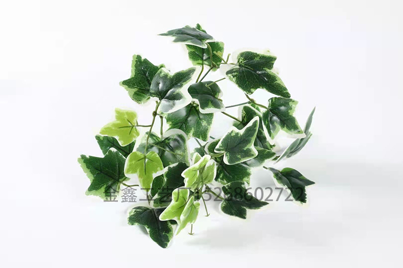 地瓜叶绿萝植物墙爬山虎常青叶藤条绿化工程假草海棠万年青过胶叶