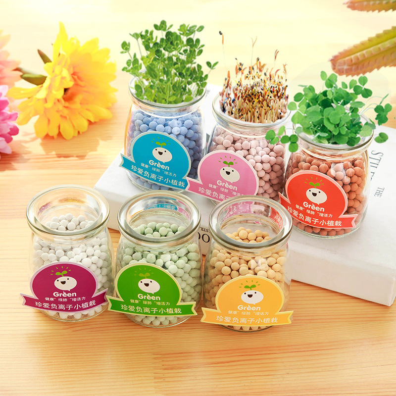 T桌面盆栽diy负离子水培陶碳球小盆栽迷你微景观植物批发