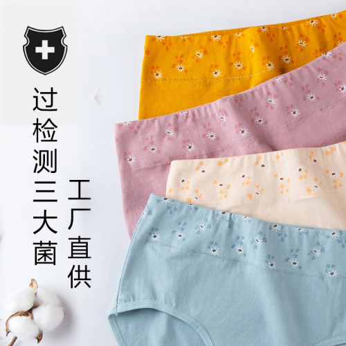 wholesale large size women‘s underwear cotton mid-waist breathable mother briefs female large version manufacturers