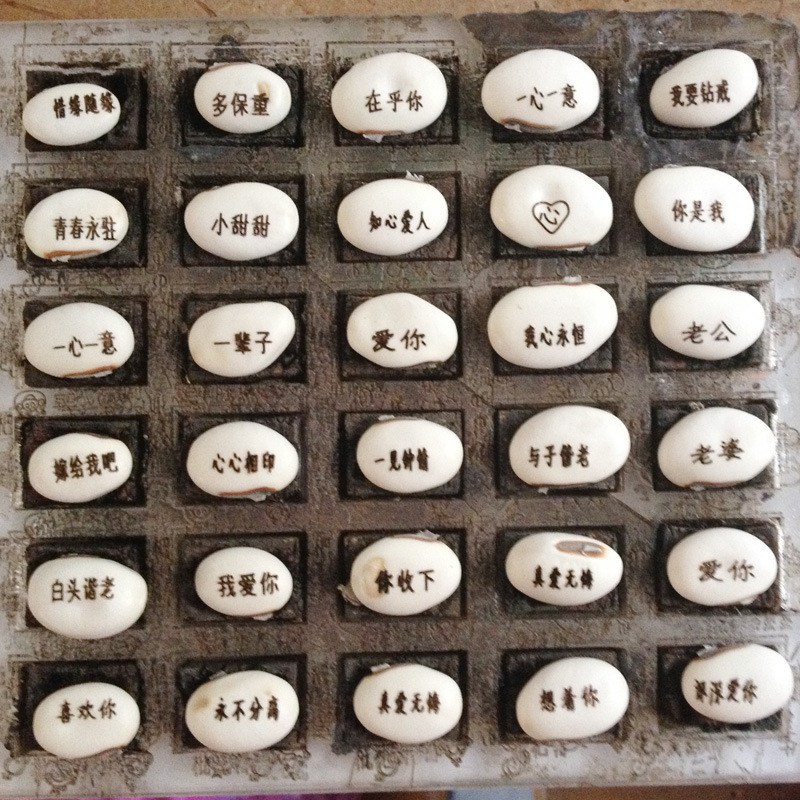 供应魔豆 爱情魔豆神奇魔豆种子白豆可定制新奇特迷你植物工艺品