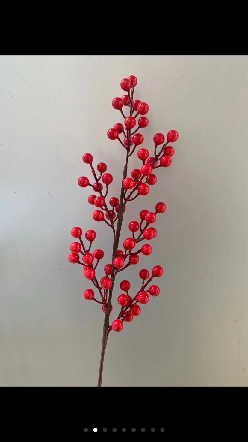 爆款红球发财树