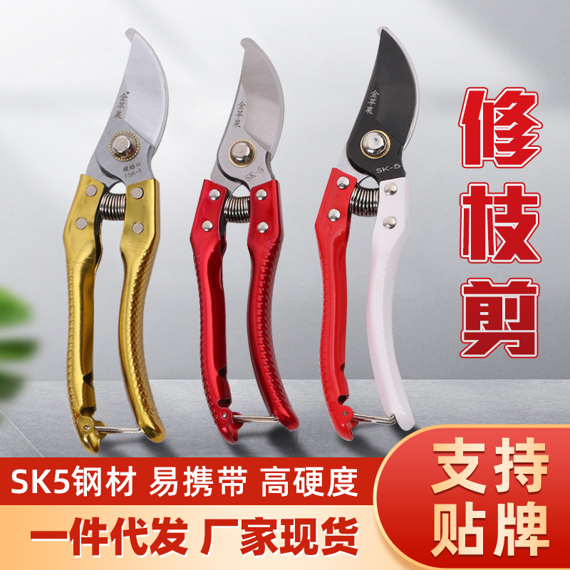 金苹果批发草坪园艺修枝剪家用盆栽城市绿化带修枝剪园林剪果枝剪