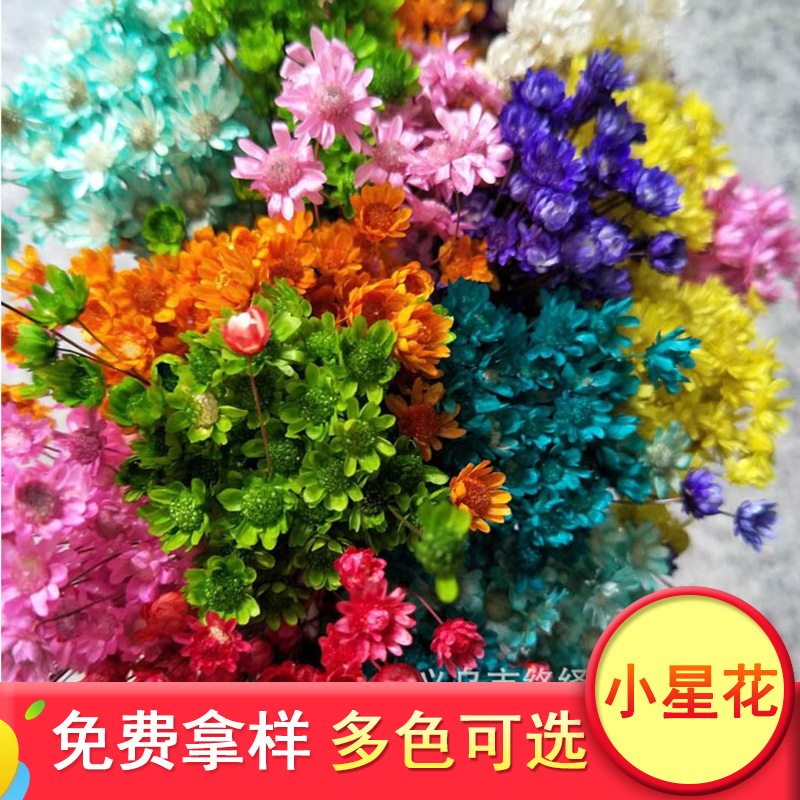 天然材料干花花束 小星花口红制作拍照道具 小雏菊干花花束批发