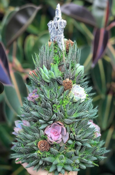 跨境爆款圣诞节多肉圣诞树多肉摆件