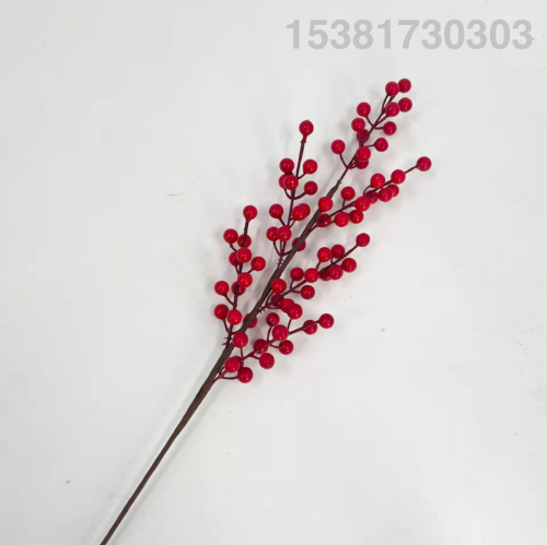Spot Supply 6 Fork Chinese Hawthorn Plug-in Holly Pomegranate Fruit Results