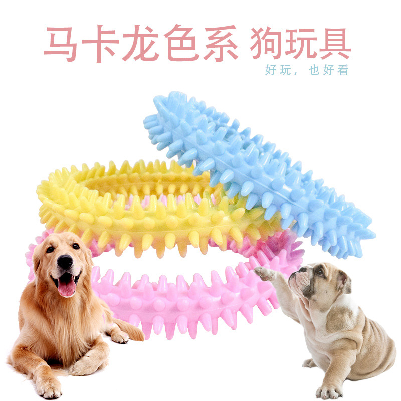 宠物玩具厂家批发 TPR磨牙刺环玩具 马卡龙TPR刺圈狗玩具一件代发