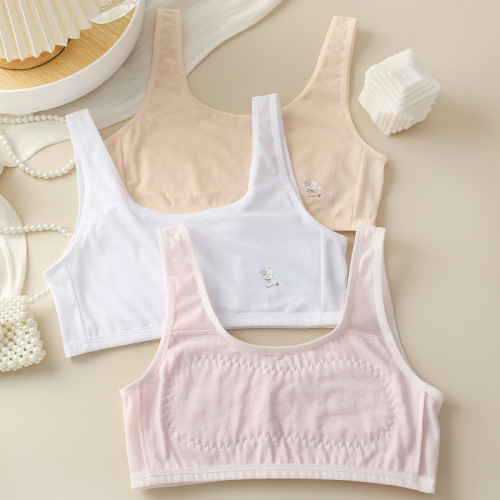 Girls‘ Cotton Underwear Vest Double-Layer Quilted Anti-Bump Development Period Primary School Junior High School Students Wrapped Chest Breathable Mesh