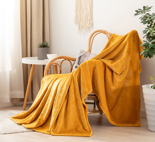 Wholesale Plain Color Flannel Blanket Office Sofas Air Conditioning Blanket Four Seasons Gift Blanket Coral Fleece Nap Blanket