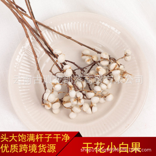 [small white fruit] dried flower bouquet pastoral nordic style international station cross-border supply yunnan factory wholesale