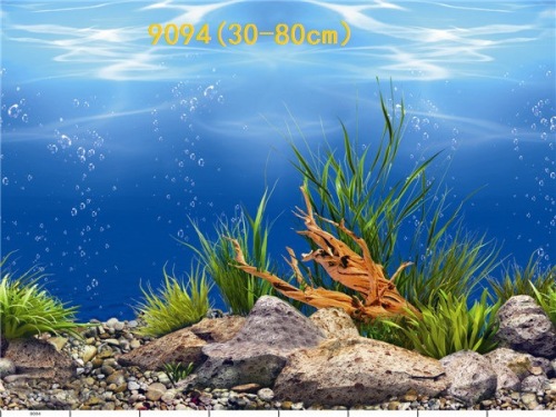60cm high single-sided thin painting wholesale production of various ecological aquarium background paintings. craft painting. aquarium equipment
