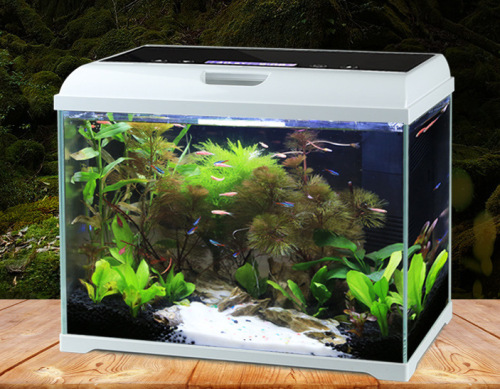 desktop Fish Tank Ecological Fish Tank Aquarium Glass Tropical Fish Gold Creative Super White Aquatic Plants Landscaping at-350