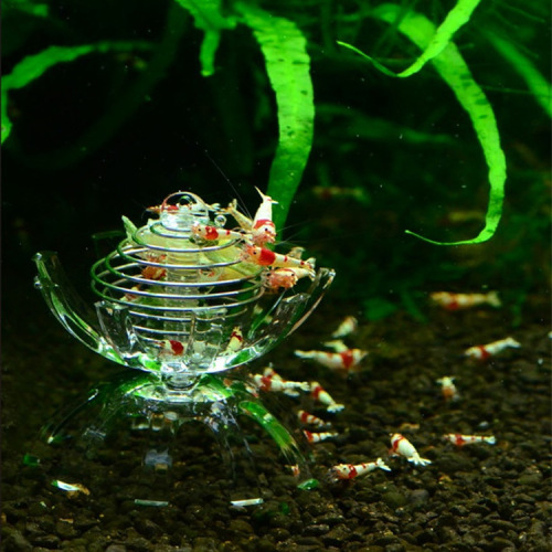 multifunctional spinach cage， fish and shrimp feeding cage， moss shelter （crystal shrimp， ornamental shrimp）