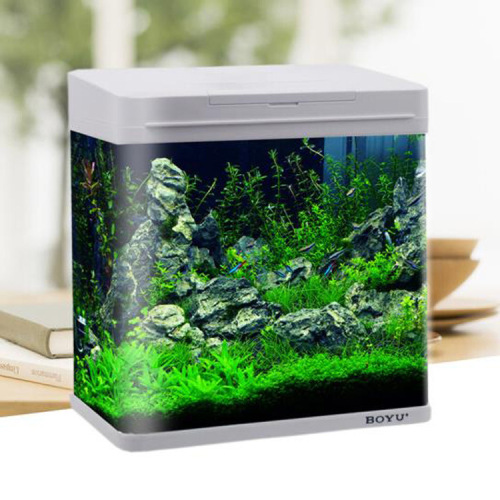 Wholesale Boyu Boyu Fish Tank Aquarium Mini Office Small Glass Fish Tank Ms Series White