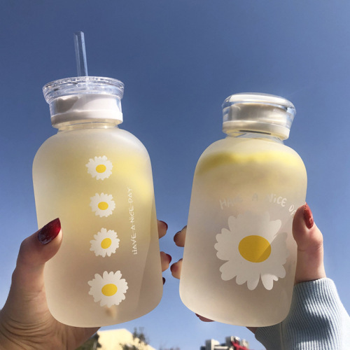 Double Cover Daisy Transparent Frosted High Borosilicate Glasses Portable Handy Ins Straw Drinking Cup Fixed L Wholesale