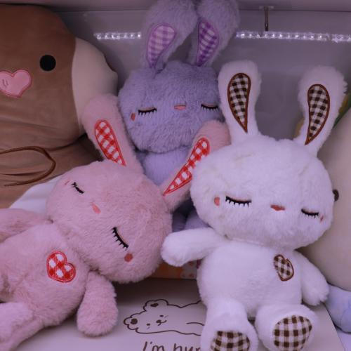 2022 new internet celebrity rabbit plush doll soft and comfortable birthday gift decoration