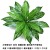 Simulation Single Stem Greenery Green Plant Wall Decor with Simulation Plastic Green Radish Single Stem Flowers