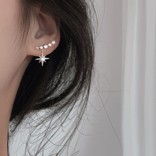 INS Internet Hot New Small Rice Earrings Fashionable All-Match Korean Rose Gold Rhinestone Six-Pointed Star Earrings for Women