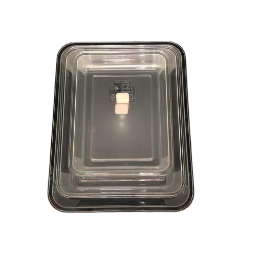transparent square fruit plate easy to clean rectangular plate food storage tray wholesale rs-4818