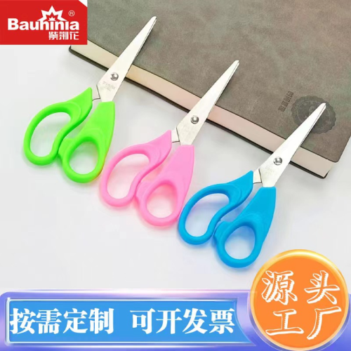 factory direct sale bauhinia scissors 5005s student scissors 5-inch stainless steel scissors