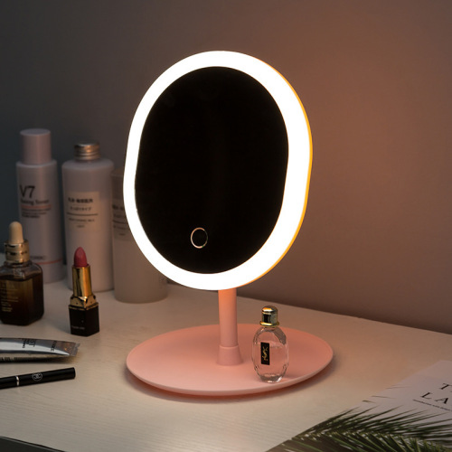 Dormitory Led Makeup Mirror with Light Fill Mirror Desktop Storage Female Net Red Makeup Mirror USB Charging Mirror