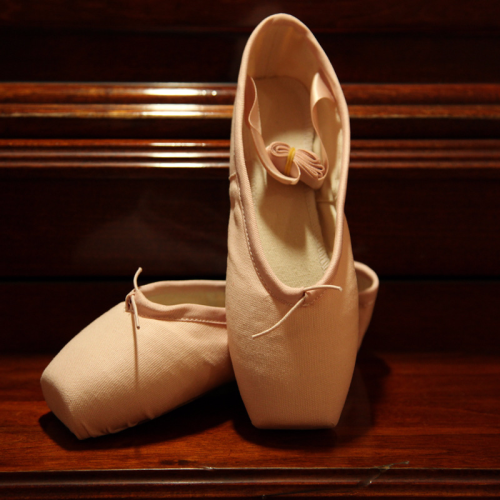 Ballet Shoes Adult Dancing Shoes Girls Ballet Practice Shoes Straps Practice Shoes Children‘s Dance Shoes