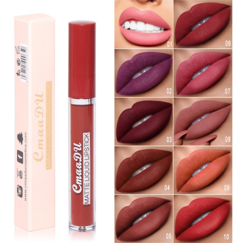 Foreign Trade Cross-Border E-Commerce Exclusively for 10-Color Matte Lipstick No Stain on Cup Long Lasting Waterproof Liquid Lip Gloss