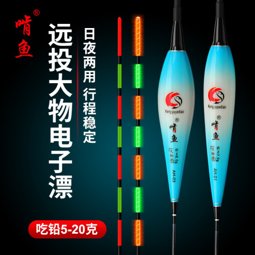 Gnawing Fish Big Thing Float Luminous Float Silver Carp Carp Dual-Use Day and Night Bold Highlighted Electronic Float Rock Fishing Float Long Shot Float Fish Float